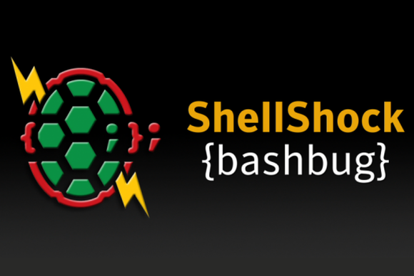 shellshock-bug-100457107-large