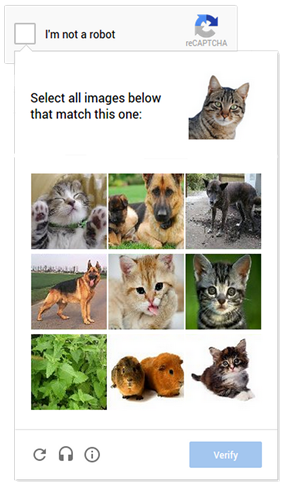 google验证码 -人工智能 cat_captcha